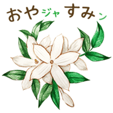words flower shop sticker #15763589