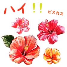 words flower shop sticker #15763593