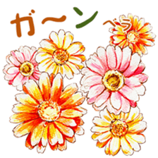 words flower shop sticker #15763598
