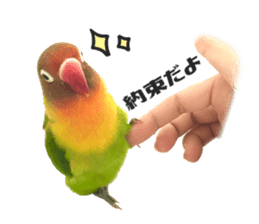 LOVEBIRDS STICKERS sticker #15764598
