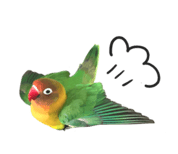 LOVEBIRDS STICKERS sticker #15764600