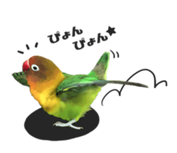 LOVEBIRDS STICKERS sticker #15764602