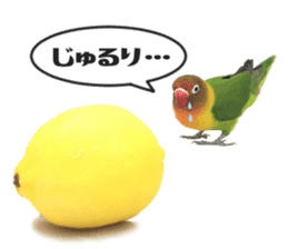 LOVEBIRDS STICKERS sticker #15764603