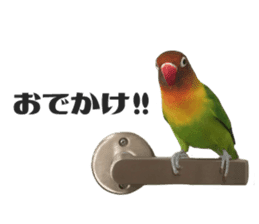 LOVEBIRDS STICKERS sticker #15764605