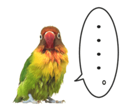 LOVEBIRDS STICKERS sticker #15764609