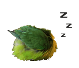 LOVEBIRDS STICKERS sticker #15764610