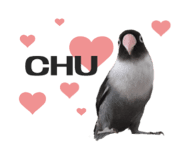 LOVEBIRDS STICKERS sticker #15764612