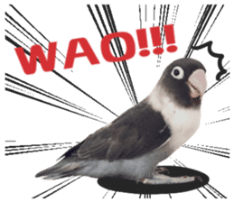 LOVEBIRDS STICKERS sticker #15764614