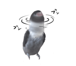 LOVEBIRDS STICKERS sticker #15764621