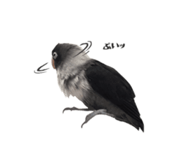 LOVEBIRDS STICKERS sticker #15764625