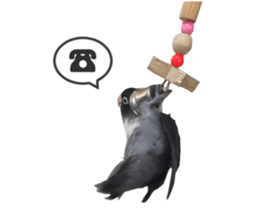 LOVEBIRDS STICKERS sticker #15764626