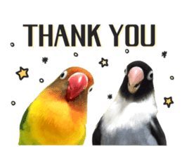 LOVEBIRDS STICKERS sticker #15764630