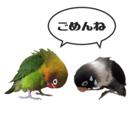 LOVEBIRDS STICKERS sticker #15764632