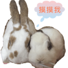 Two Rabbits' Life sticker #15764634