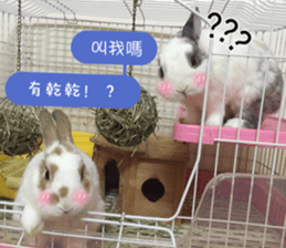 Two Rabbits' Life sticker #15764635