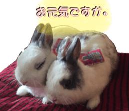 Two Rabbits' Life sticker #15764637