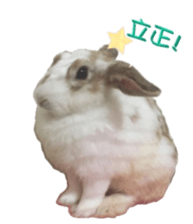 Two Rabbits' Life sticker #15764638