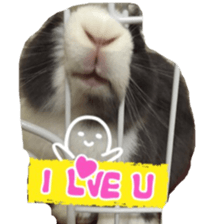 Two Rabbits' Life sticker #15764639