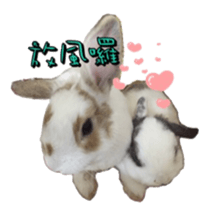 Two Rabbits' Life sticker #15764641