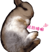 Two Rabbits' Life sticker #15764642