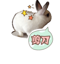 Two Rabbits' Life sticker #15764644