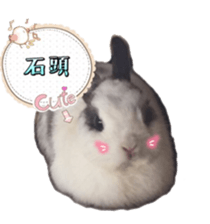 Two Rabbits' Life sticker #15764645