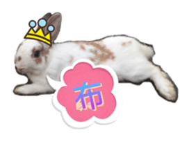 Two Rabbits' Life sticker #15764646