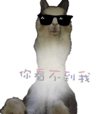 Two Rabbits' Life sticker #15764648