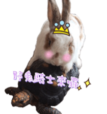 Two Rabbits' Life sticker #15764649