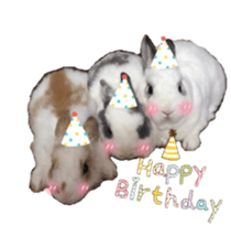 Two Rabbits' Life sticker #15764651