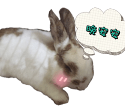 Two Rabbits' Life sticker #15764652