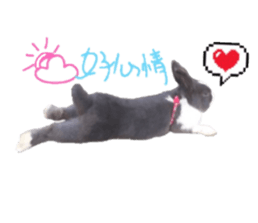 Two Rabbits' Life sticker #15764653