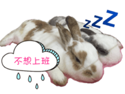 Two Rabbits' Life sticker #15764654