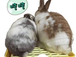 Two Rabbits' Life sticker #15764655