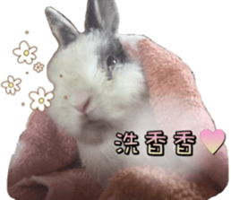Two Rabbits' Life sticker #15764656