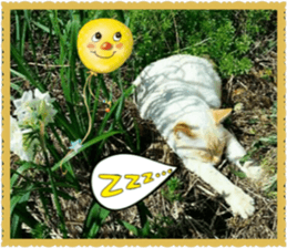 Lovely Cats #1 sticker #15764947