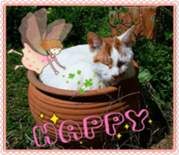 Lovely Cats #1 sticker #15764949