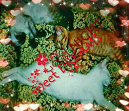 Lovely Cats #1 sticker #15764951