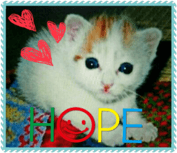 Lovely Cats #1 sticker #15764953