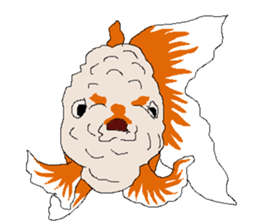 We are fish sticker #15767225