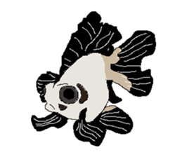 We are fish sticker #15767231