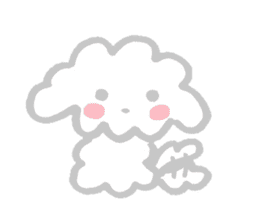 My Maltese dog named Kuun chan sticker #15773522