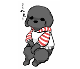 black poodle "BERU" sticker #15773810