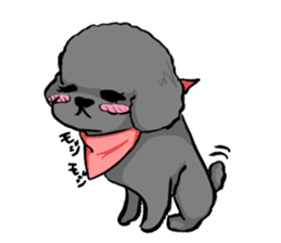 black poodle "BERU" sticker #15773811