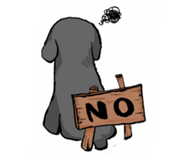 black poodle "BERU" sticker #15773813