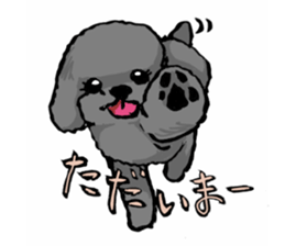 black poodle "BERU" sticker #15773816