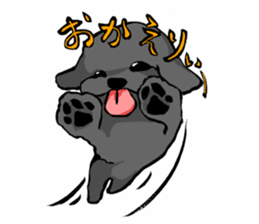 black poodle "BERU" sticker #15773817