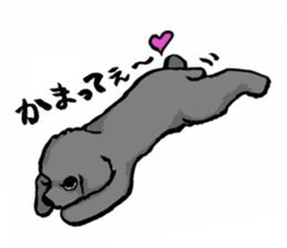 black poodle "BERU" sticker #15773818