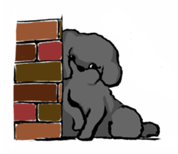 black poodle "BERU" sticker #15773821