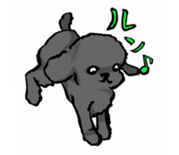 black poodle "BERU" sticker #15773825